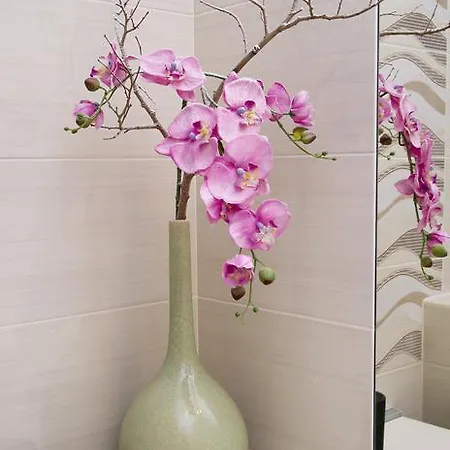 Luxury Rodin Apartamento *